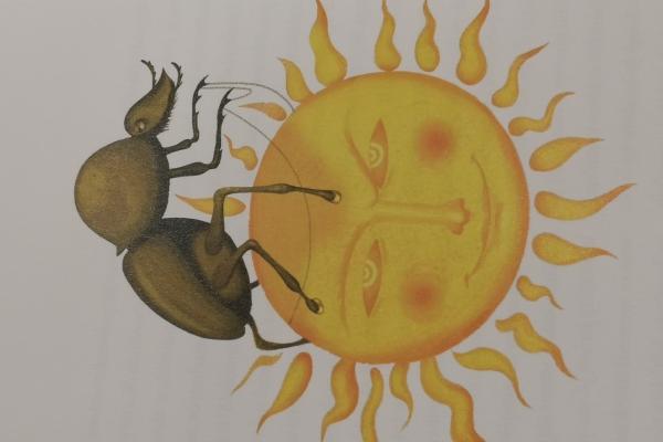 Razstava knjig ilustratorke Bojane Dimitrovski