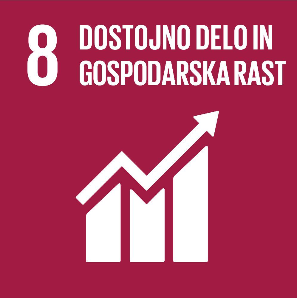 SDG 08