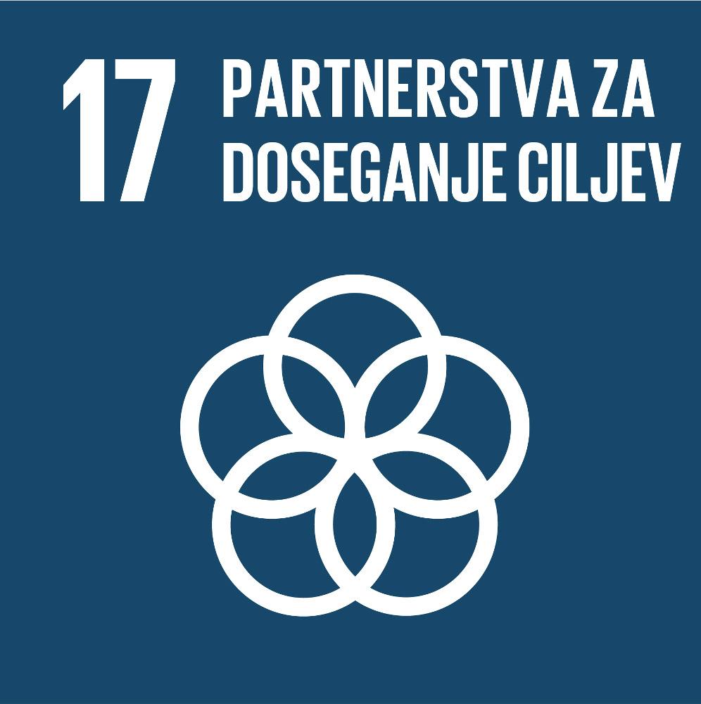 SDG 17