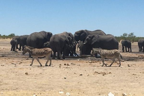 NAMIBIJA