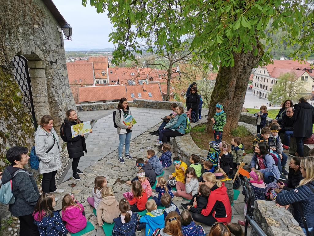 14pri Kostanju Dom Sovice Kivi