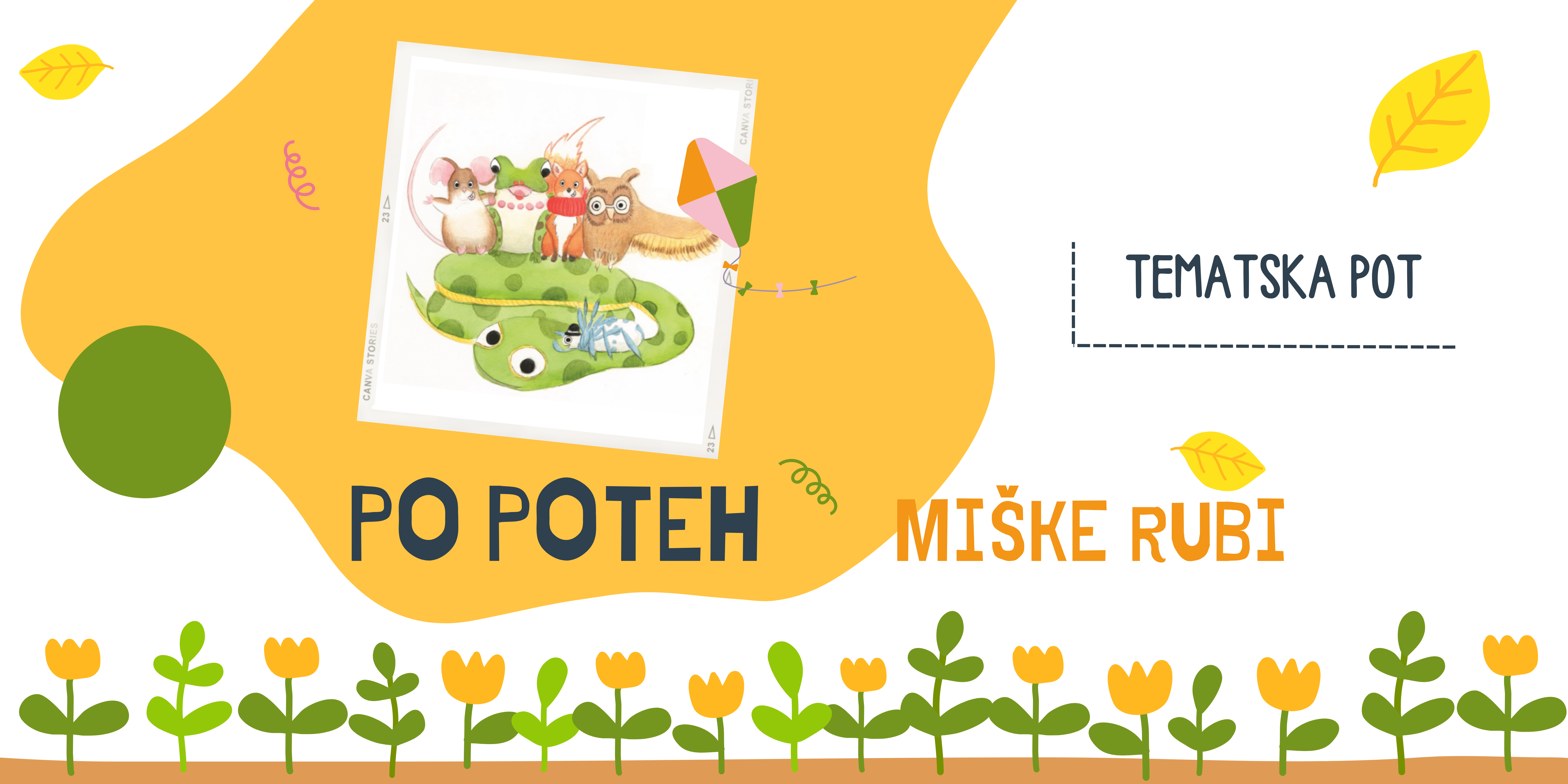 Miska Rubi Za Blog 1