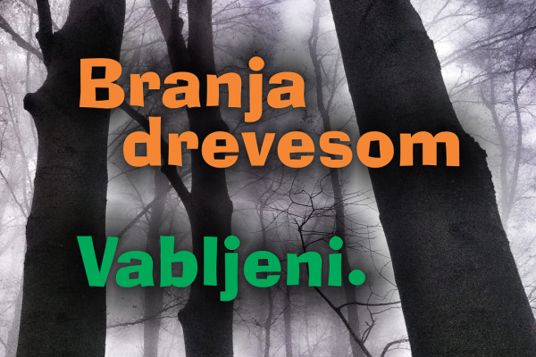 Branja drevesom