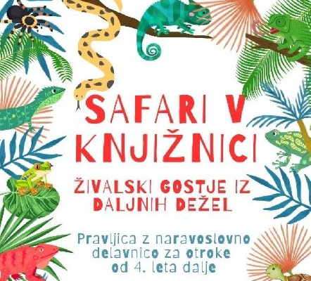 SAFARI V KNJIŽNICI