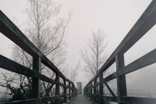 Fotografska razstava Urbana Babnika: LOKA